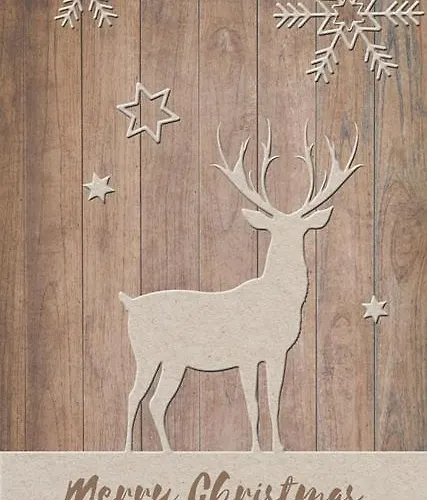 Mitte בולצאנו